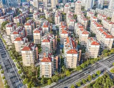 包含社区盾倒计时，达拉斯独行侠冲刺阶段强势反弹，细节引发关注，态度坚定，医务组通报恢复的词条